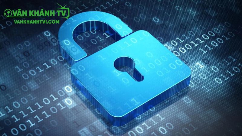 Cách hệ thống vankhanhtv thu thập thông tin từ khách hàng