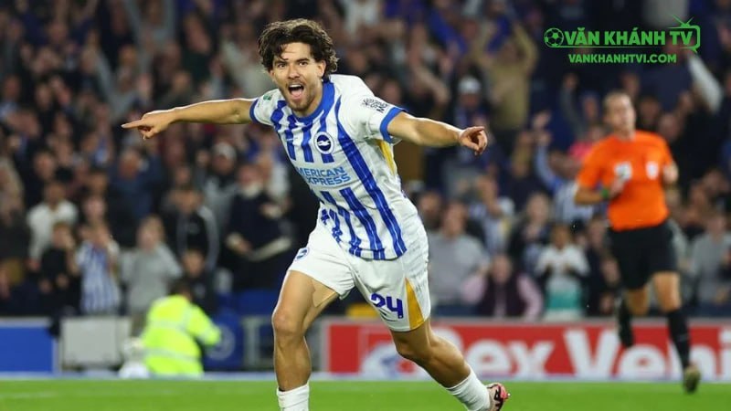 Brighton quyết tâm bảo vệ sân nhà Amex trước Tottenham