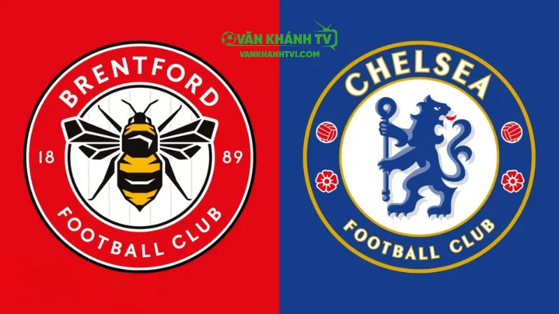 Nhận định Brentford vs Chelsea: liệu "bầy ong" có thể gây bất ngờ trước Chelsea?