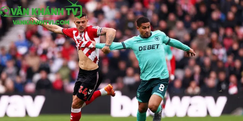 Sức hút của Sunderland trên sân cỏ Anh